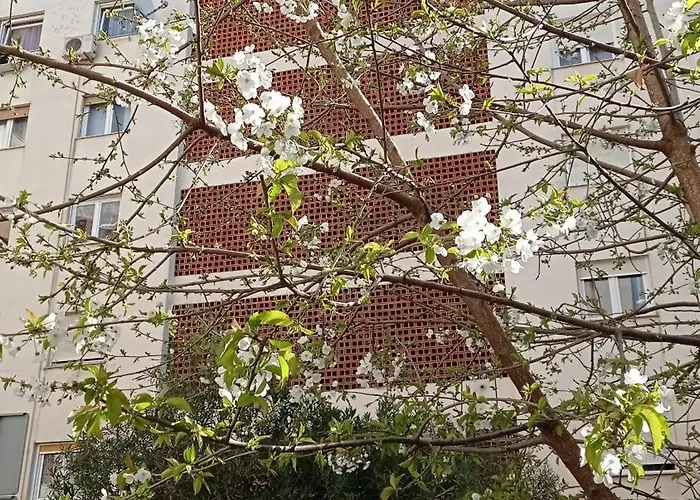 App Letta Sunset Apartment Pula