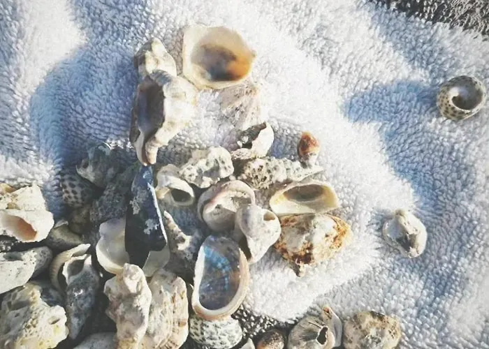 Apartment App Letta Sunset *