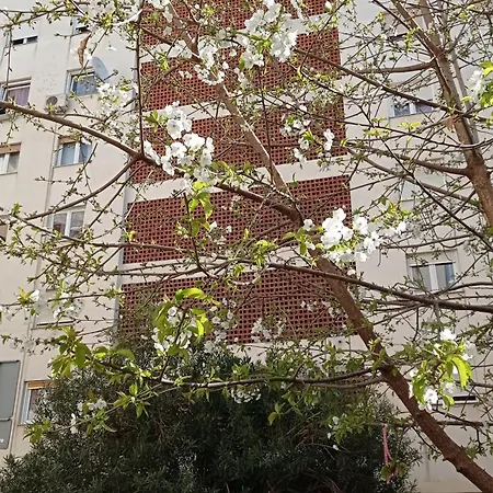 App Letta Sunset Apartamento Pula