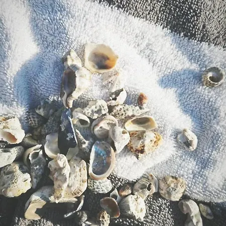 Apartamento App Letta Sunset *