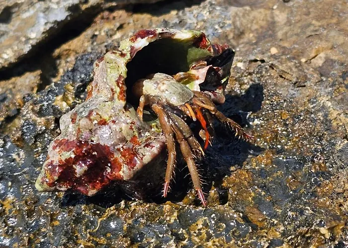 Apartament App Letta Sunset Pula